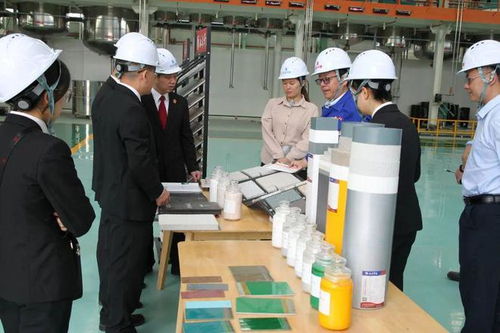 立足知識產權保護，協同企業創新發展——江州區法院舉辦新材料技術研發領域知識產權保護宣講座談會